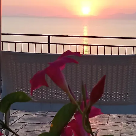 Stella Del Cilento Di Anna Botti B&B 아그로폴리