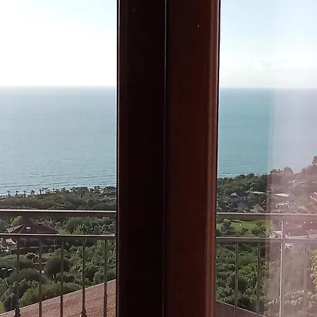 Stella Del Cilento Di Anna Botti * 아그로폴리