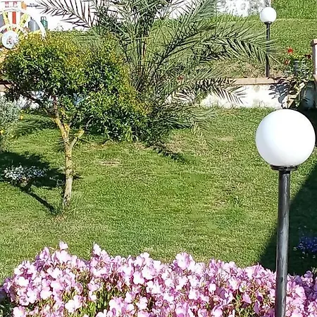 Stella Del Cilento Di Anna Botti